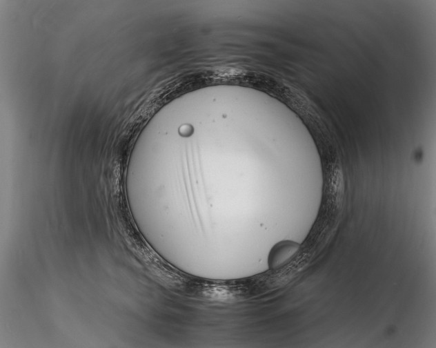 X0000116140565200912141136