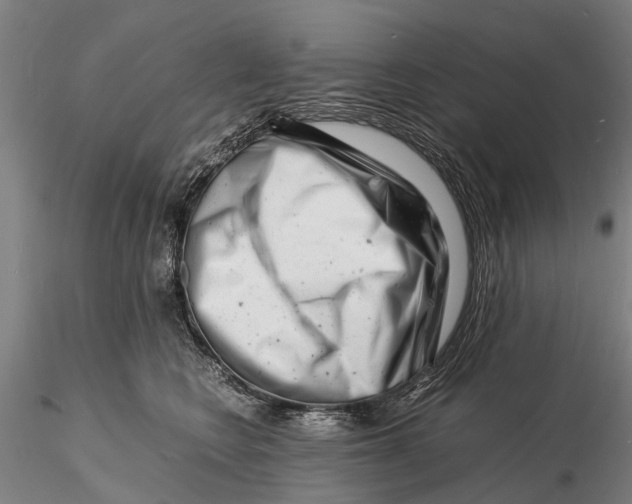 X0000116140566200912141136