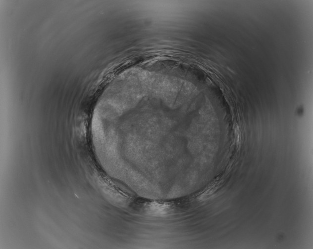 X0000116140570200912141136