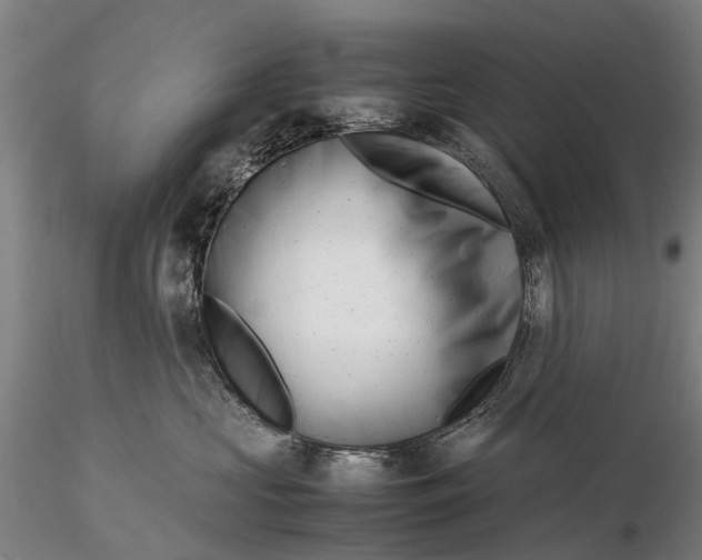 X0000116140573200912141136