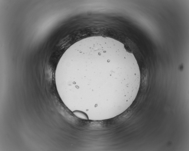 X0000116140574200912141136