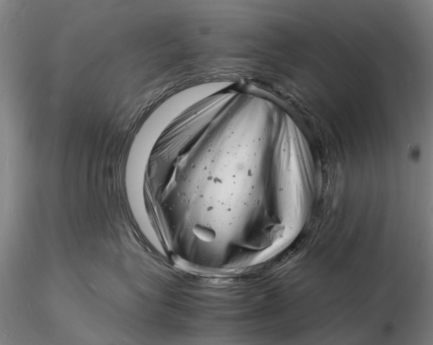 X0000116140575200912141136