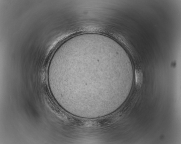 X0000116140579200912141135