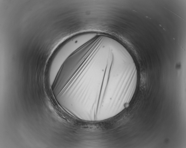 X0000116140580200912141135