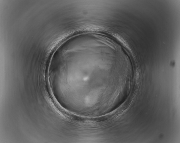 X0000116140581200912141135