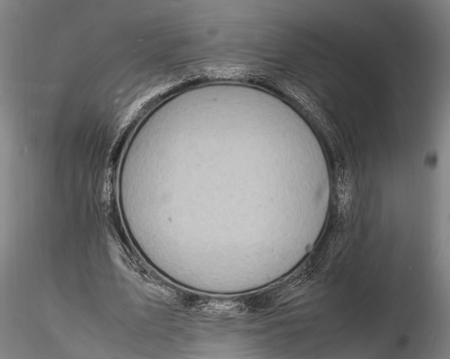 X0000116140583200912141135