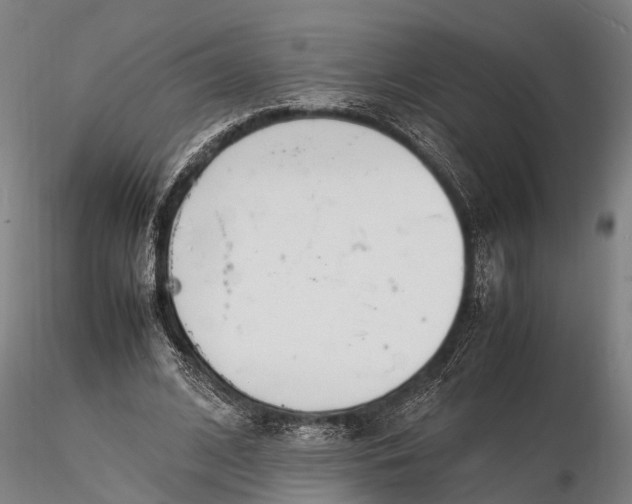 X0000116140584200912141135