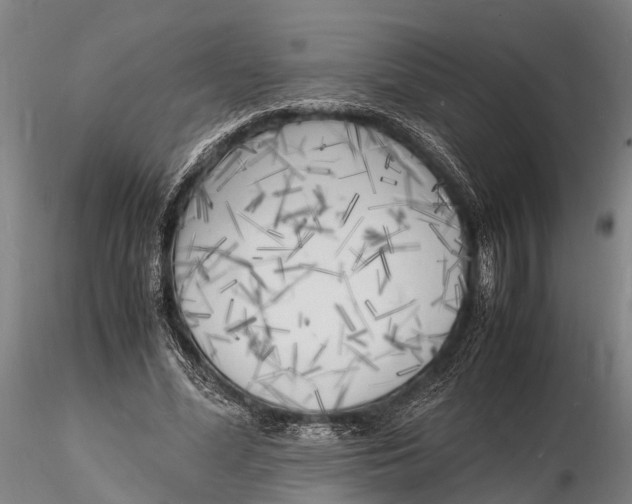 X0000116140588200912141135