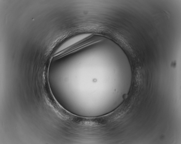 X0000116140590200912141135