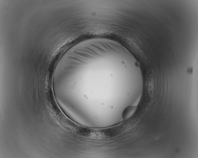 X0000116140591200912141135