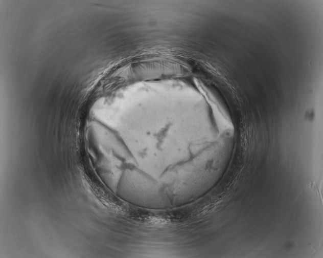 X0000116140592200912141135