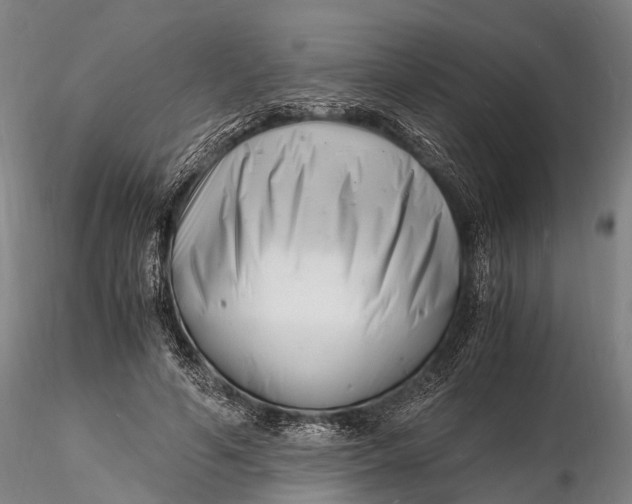 X0000116140594200912141135