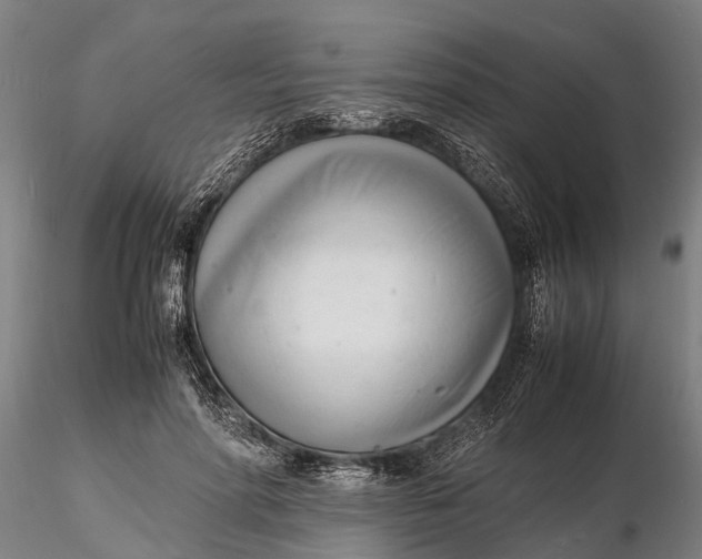 X0000116140598200912141134