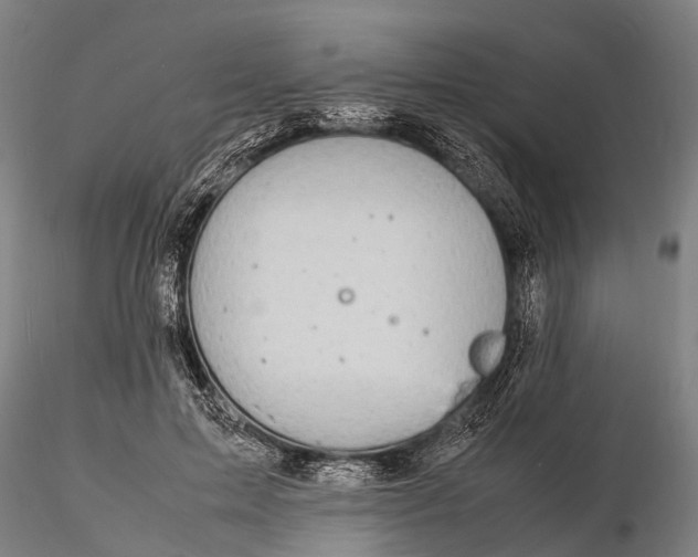 X0000116140599200912141134