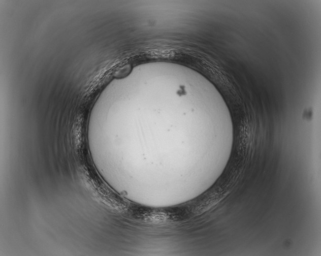 X0000116140600200912141134