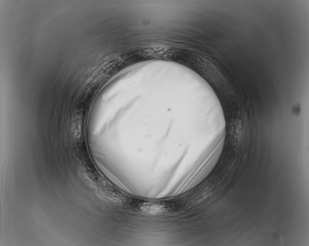 X0000116140602200912141134