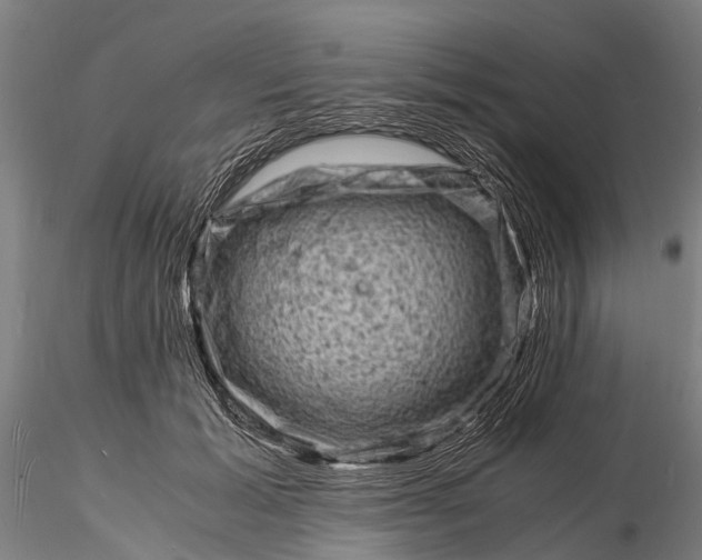 X0000116140605200912141134