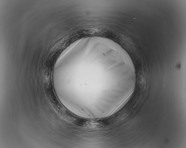 X0000116140607200912141134