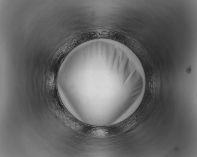 X0000116140610200912141134