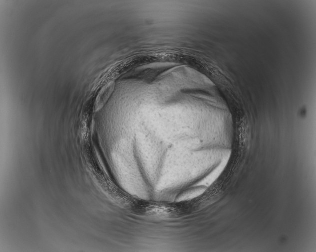 X0000116140611200912141134