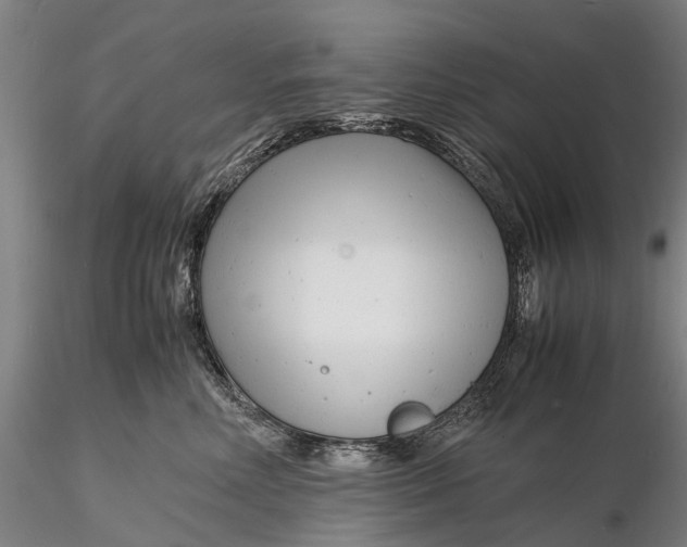 X0000116140618200912141134