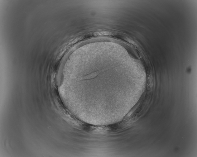 X0000116140621200912141134