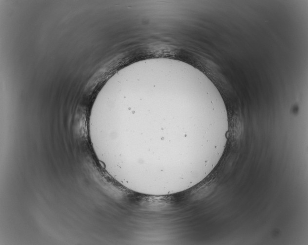 X0000116140622200912141134