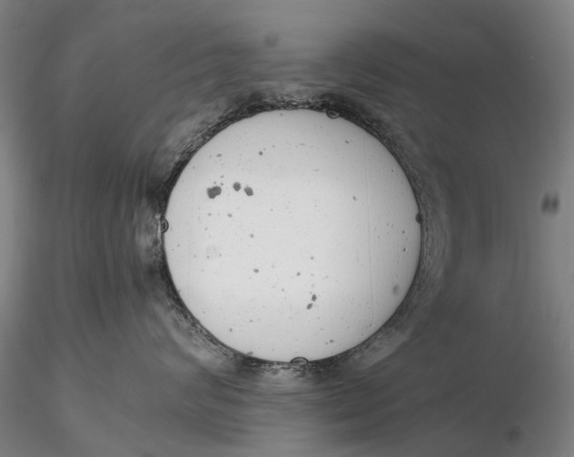 X0000116140624200912141134