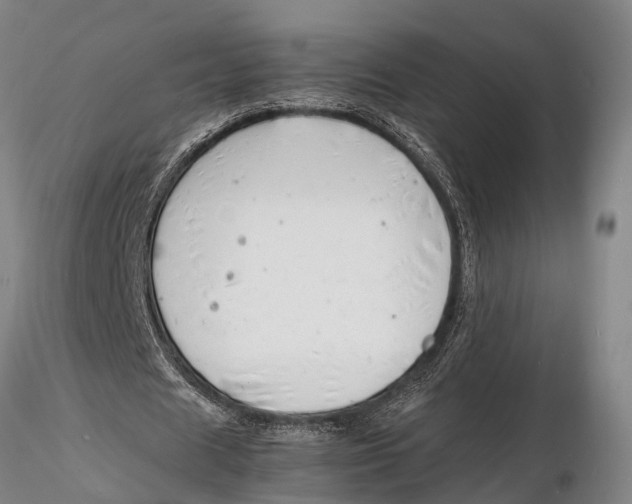 X0000116140625200912141133