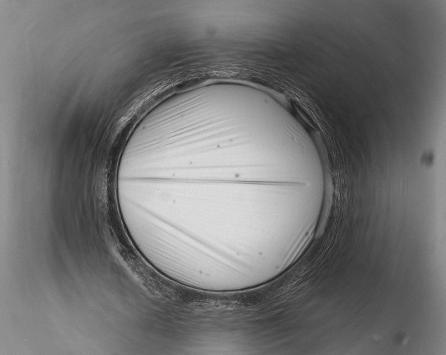 X0000116140626200912141133