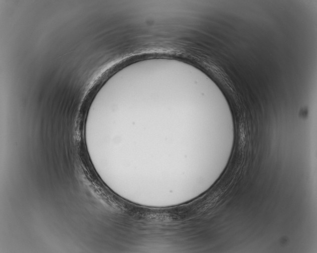 X0000116140628200912141133