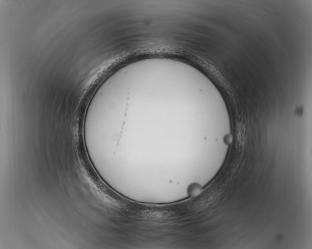 X0000116140629200912141133