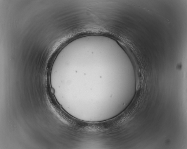 X0000116140630200912141133