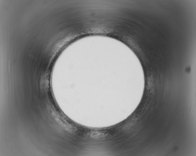 X0000116140632200912141133