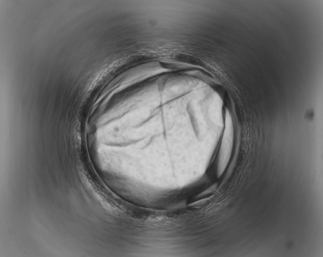 X0000116140634200912141133