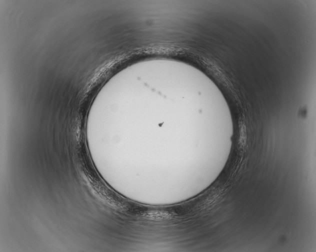 X0000116140636200912141134