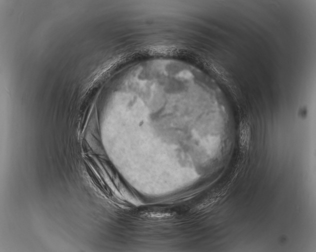 X0000116140637200912141134