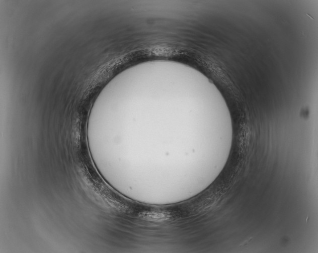 X0000116140639200912141134