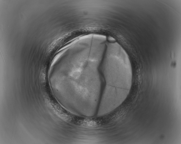 X0000116140640200912141134