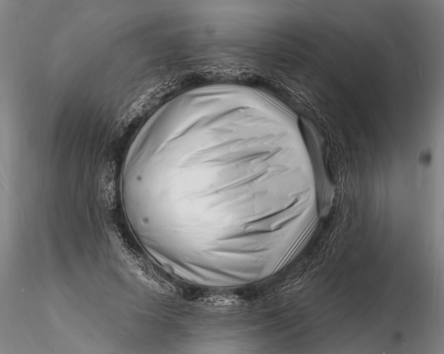 X0000116140642200912141134