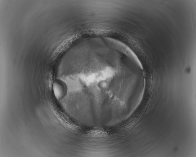 X0000116140644200912141134