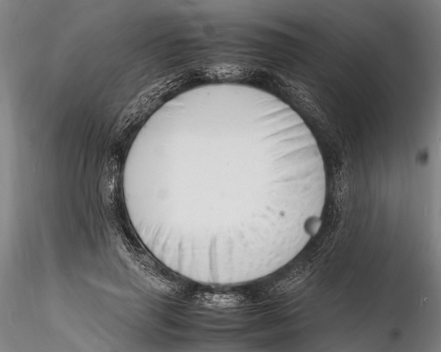 X0000116140645200912141134