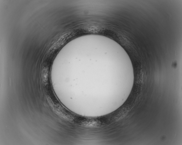 X0000116140646200912141134