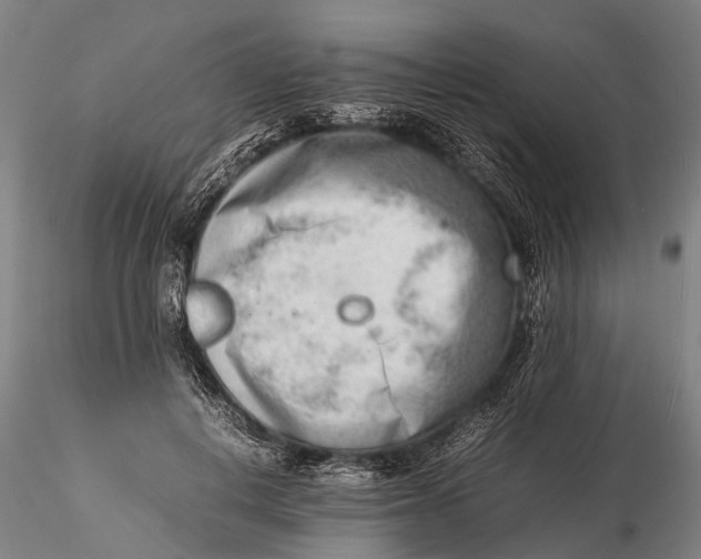 X0000116140648200912141134