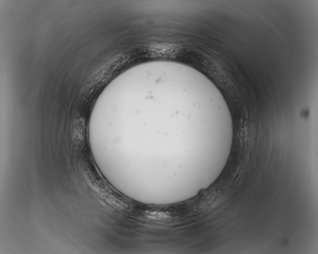 X0000116140649200912141134