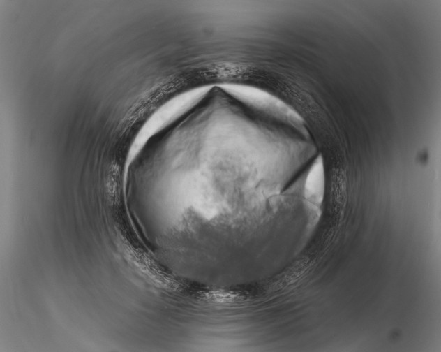 X0000116140650200912141134