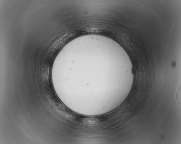 X0000116140652200912141134