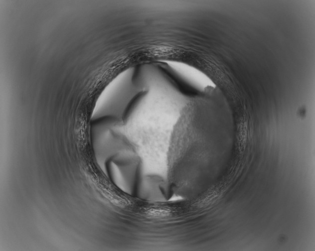 X0000116140653200912141134