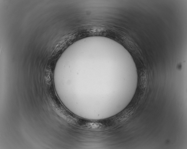 X0000116140654200912141134