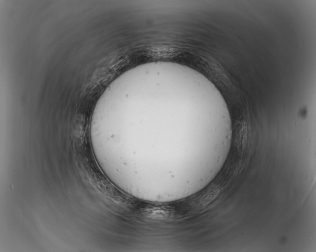 X0000116140655200912141134